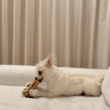 Publicación de Yoshimasa Hosoya en Instagram (20 jun 2026)