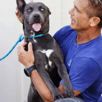 Publicación de David Chokachi en Instagram (14 oct 2026)