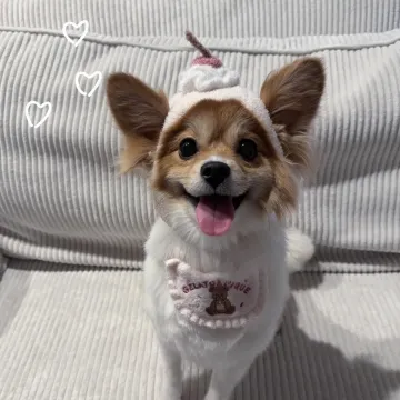 Publicación de Yoshikawa Ai en Instagram (28 jun 2026)