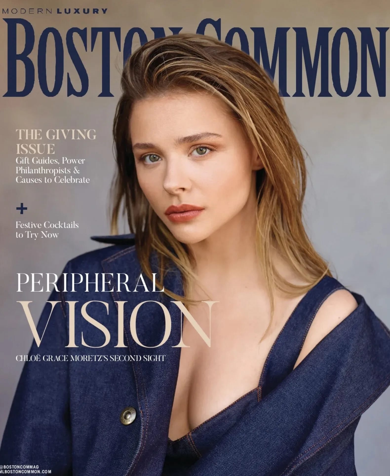 1719379620_ModernLuxuryBostonCommon1122.jpg.0224aa6877a71765ef74a6d4fc19afca