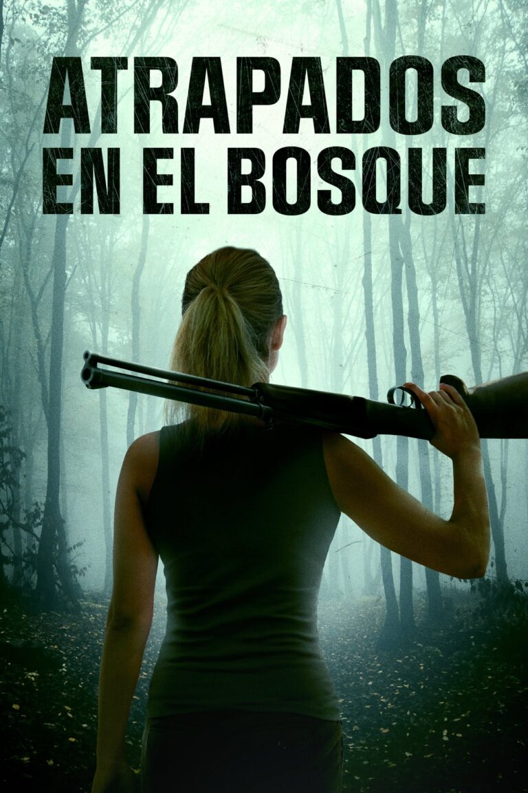 In the Forest
