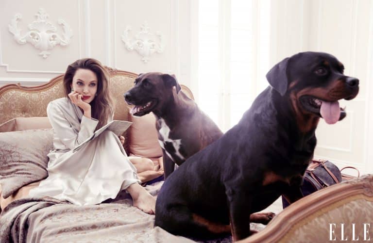 Angelina Jolie: Wears a white satin robe with loose hair. No shoes…
