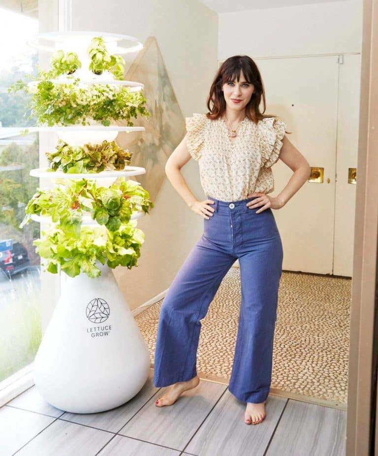 Zooey Deschanel-53704