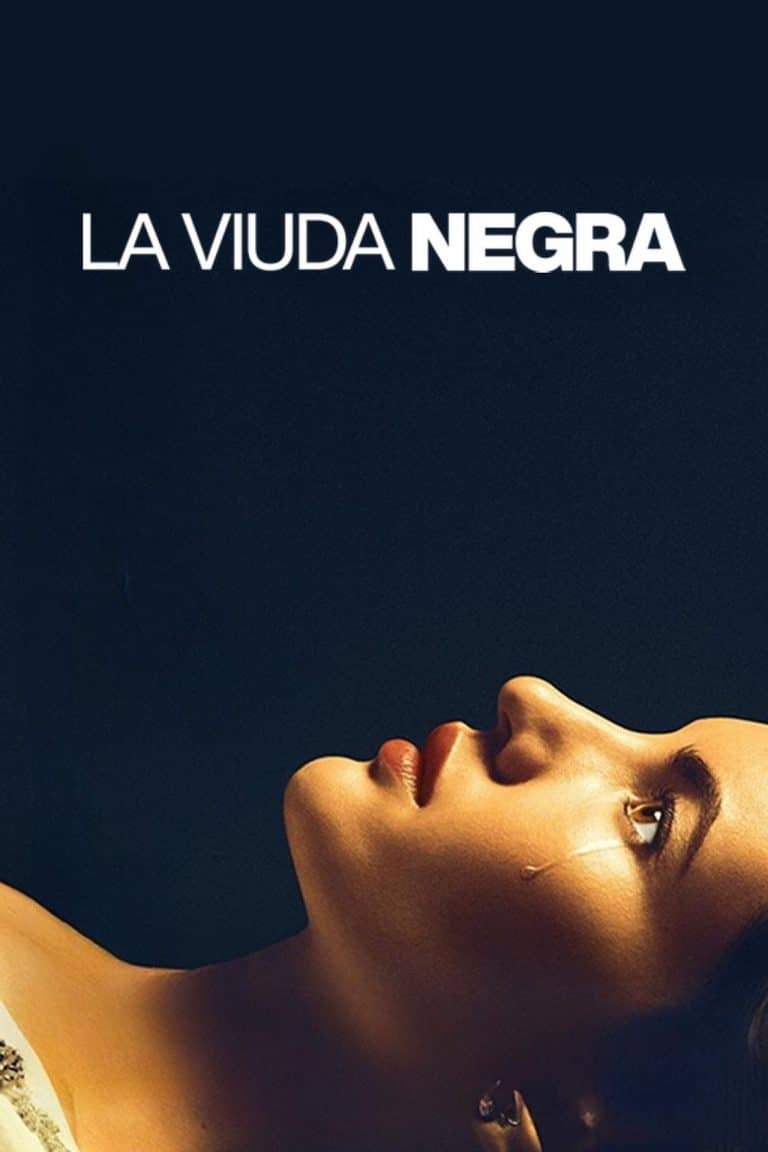 Penoza: The Final Chapter