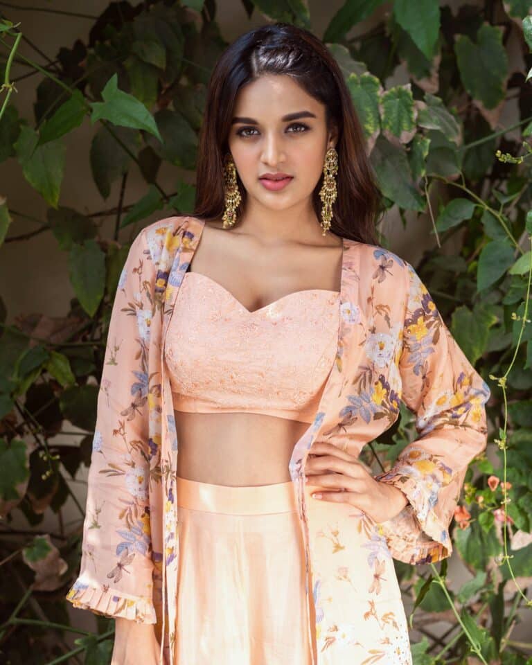Nidhhi Agerwal-69476