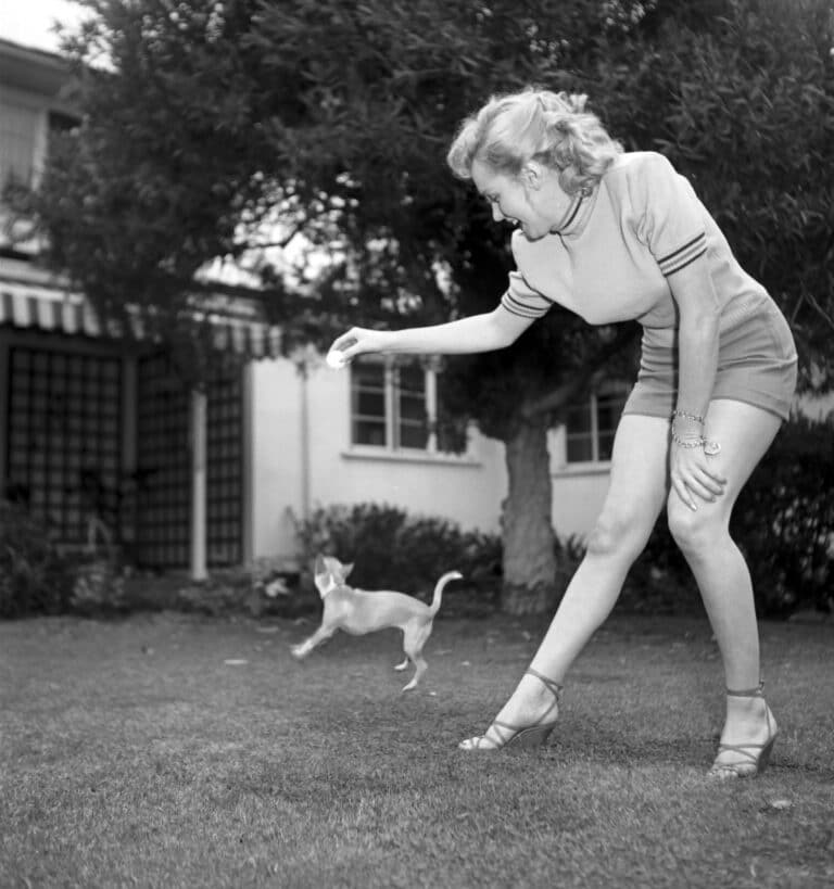 Marilyn Monroe-79359