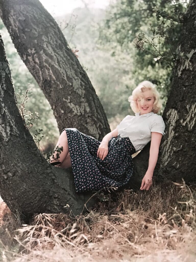 Marilyn Monroe-79411