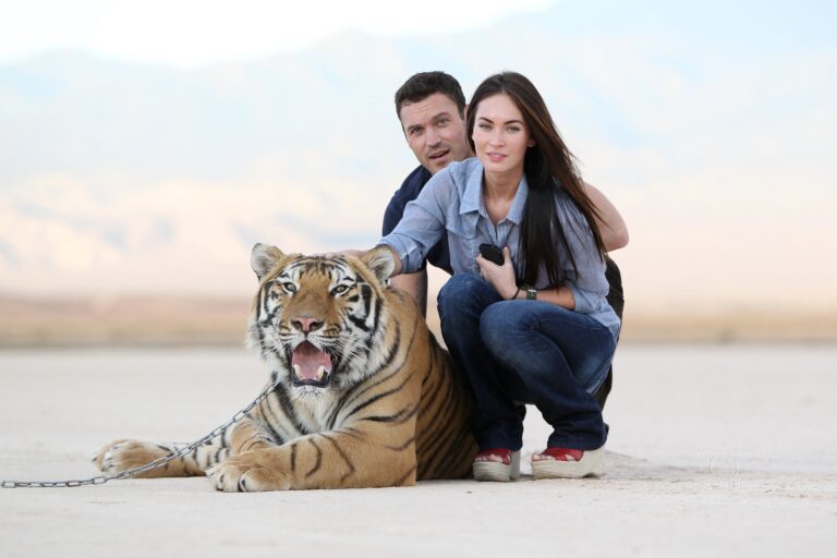 Megan Fox: A person in a light blue shirt and dark jeans is crouching next to…