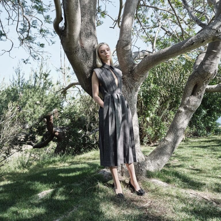 Anya Taylor-Joy: Wears a long, straight-cut dress in shades of gray with a plunging…