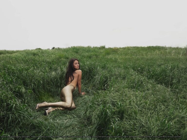 Megan Fox: Wears a golden outfit that shines against the green of the field, leaning…