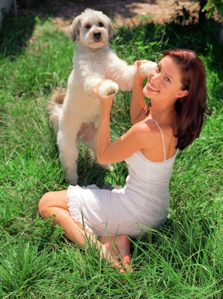Shannon Elizabeth-114877