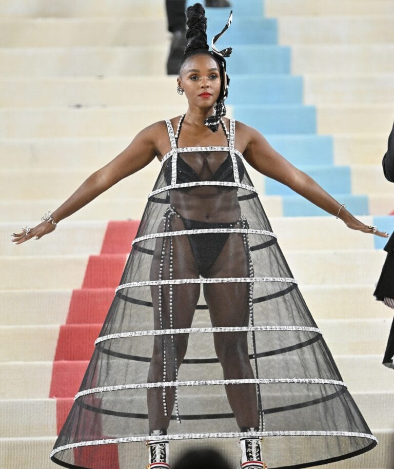 Photo of Janelle Monáe