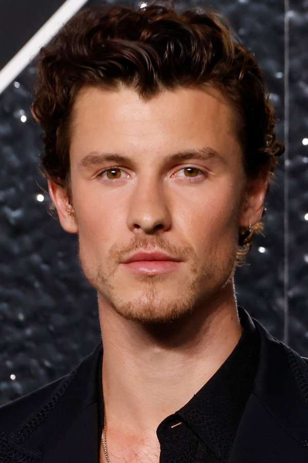 Shawn Mendes, Canadian singer